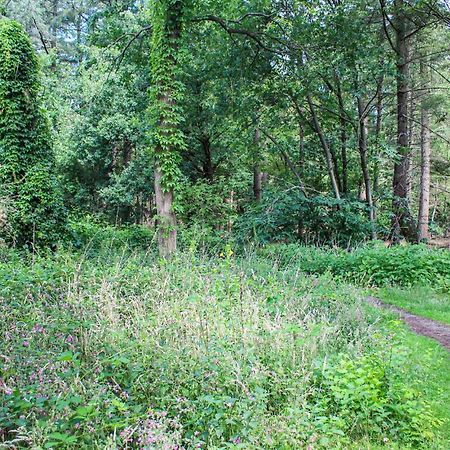 Huiske Oan T Bos Lage Mierde Dış mekan fotoğraf