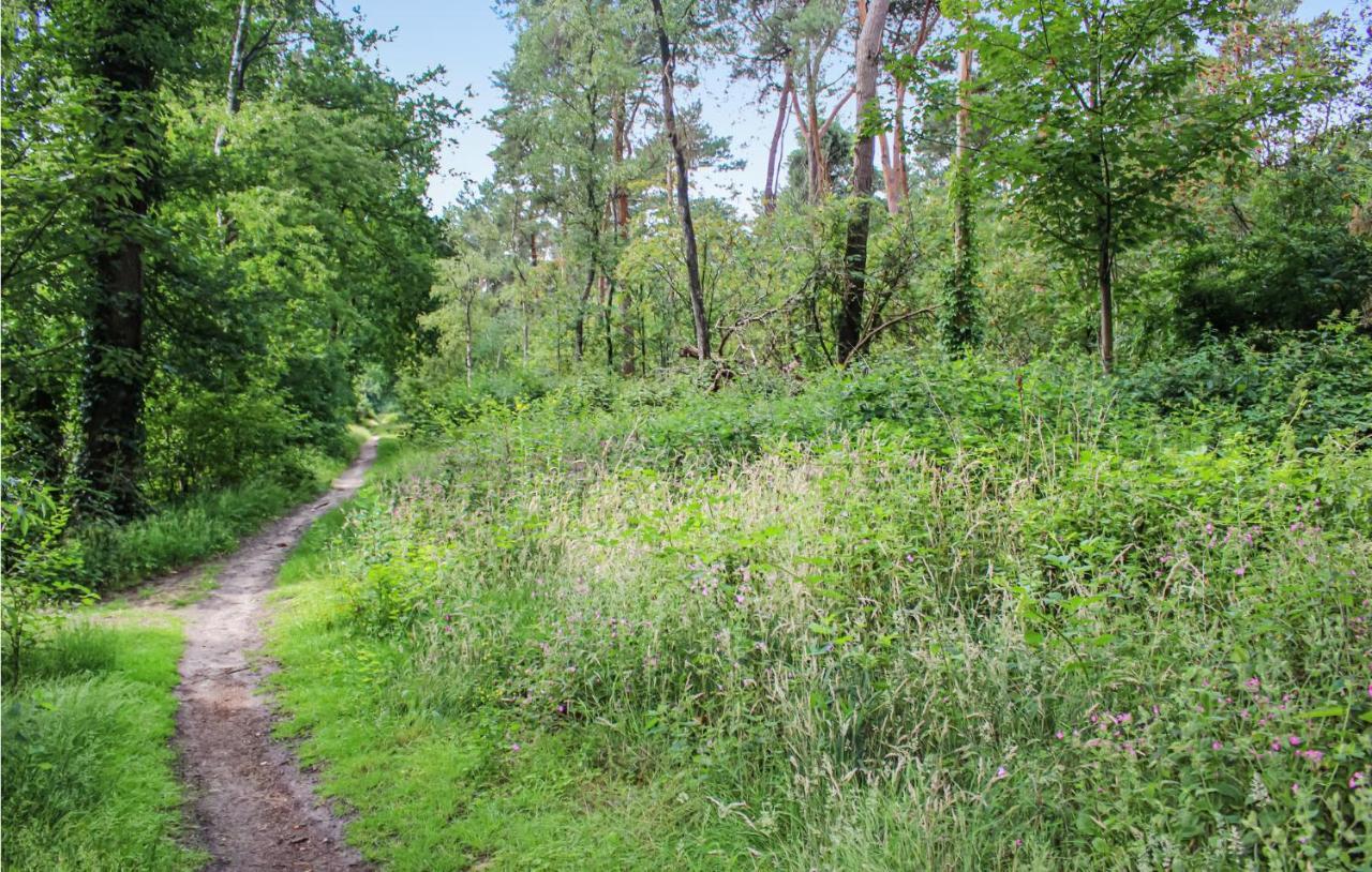 Huiske Oan T Bos Lage Mierde Dış mekan fotoğraf