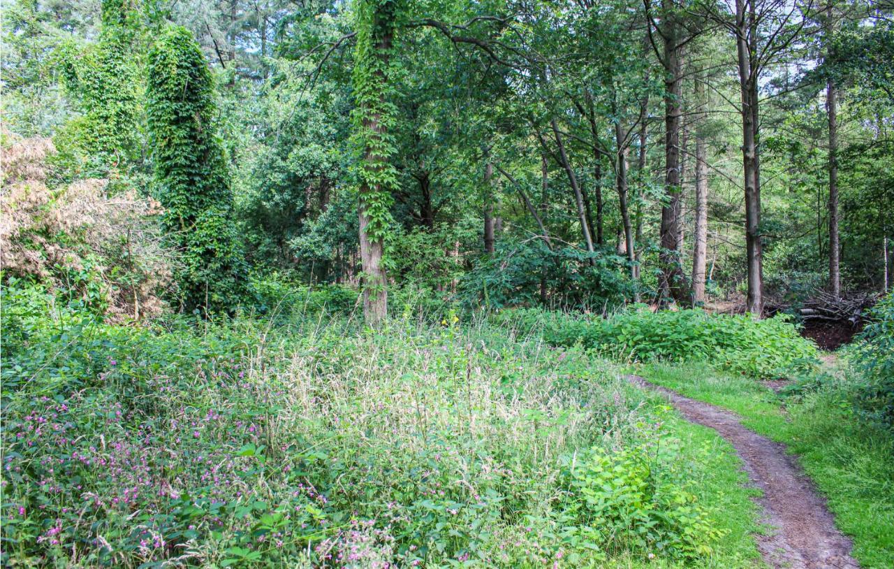 Huiske Oan T Bos Lage Mierde Dış mekan fotoğraf